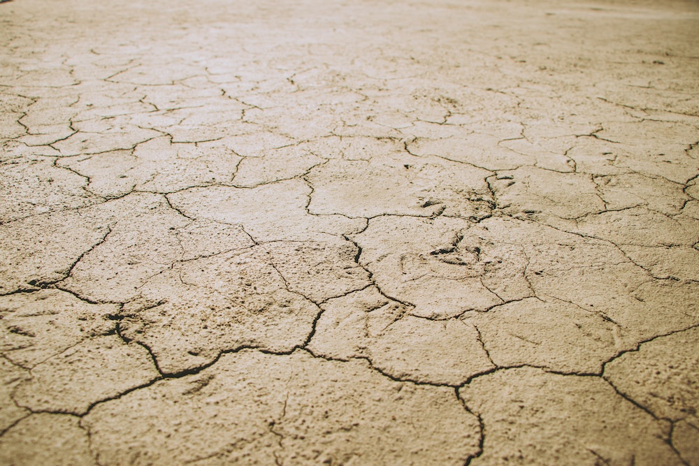 Régulations sur le changement climatique : une lutte juridique pour la survie de notre planète