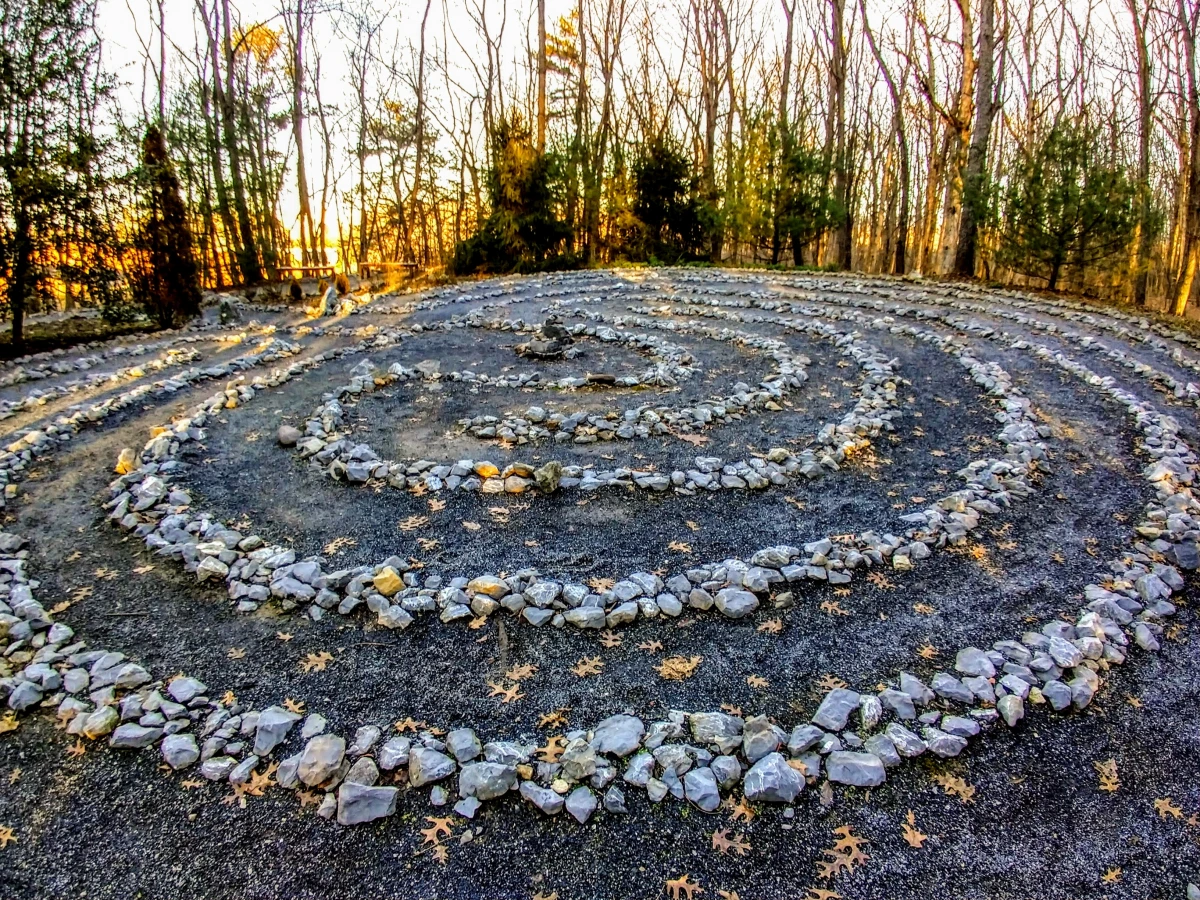 Le contentieux de la sécurité sociale : un labyrinthe juridique à démêler